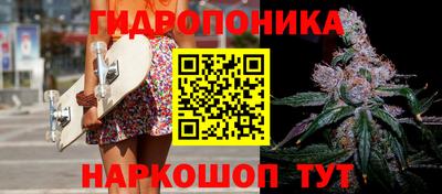 индика Ирбит