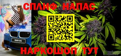 индика Ирбит