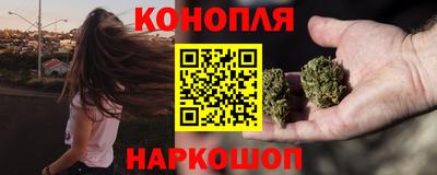 индика Ирбит