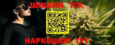 индика Ирбит