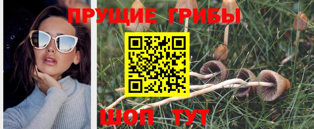 Усинск  Галлюциногенные грибы мухоморы  Вход с VPN 